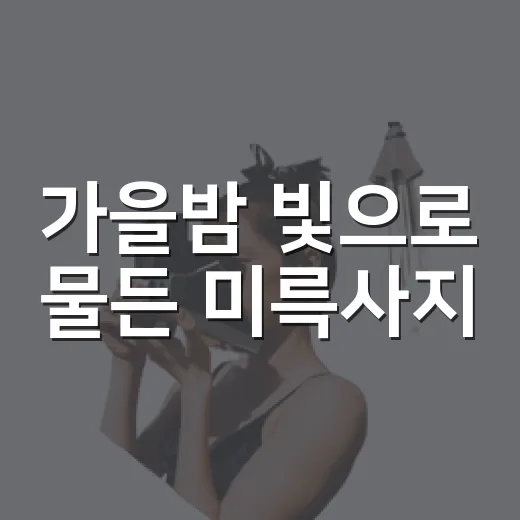 가을밤 빛으로 물든 미륵사지