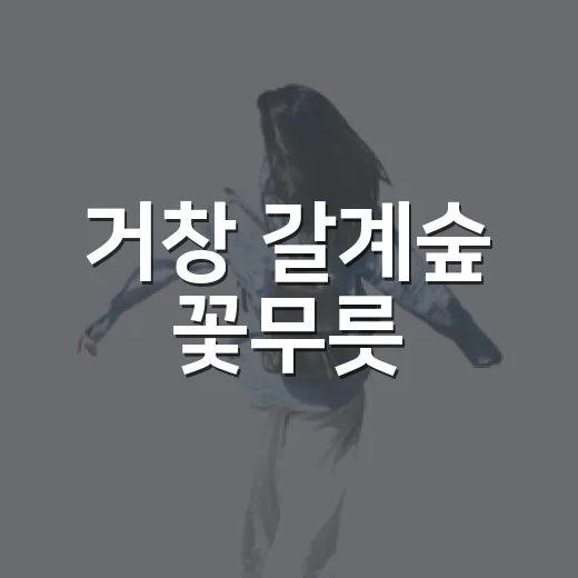 거창 갈계숲 꽃무릇, 9월 절정 개화 예고