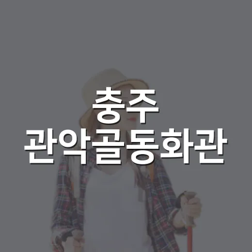 충주 관악골동화관, 아이와 함께 실내 명소