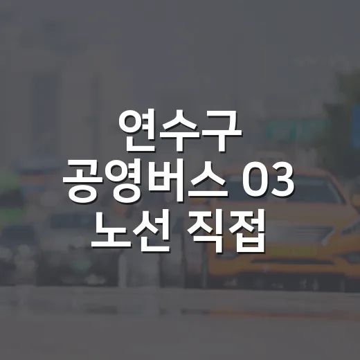 연수구 공영버스 03 노선 직접 체험기