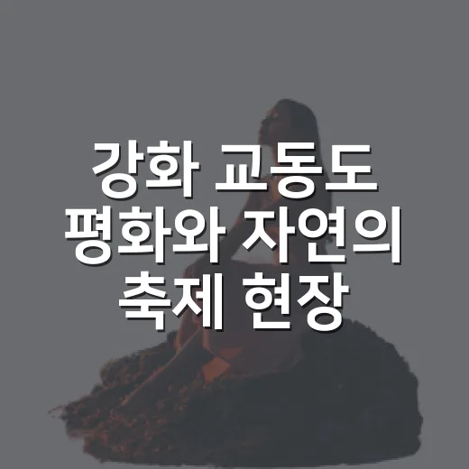 강화 교동도 평화와 자연의 축제 현장