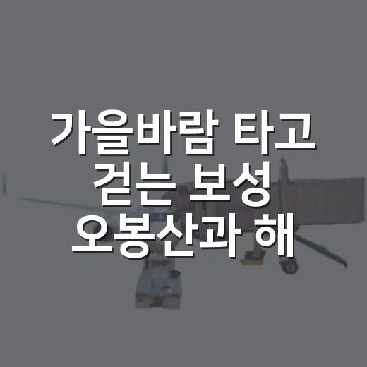 가을바람 타고 걷는 보성 오봉산과 해평저수지 둘레길