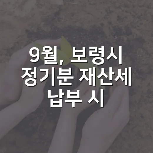 9월, 보령시 정기분 재산세 납부 시작