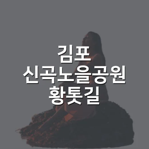 김포 신곡노을공원 황톳길 맨발걷기 명소
