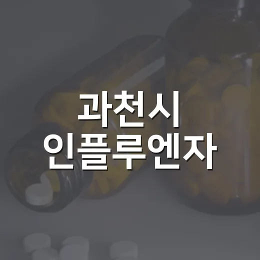 과천시 인플루엔자·코로나19 예방접종 안내