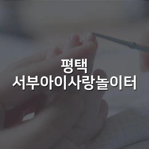 평택 서부아이사랑놀이터, 맞춤형 육아 지원의 중심