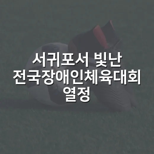 서귀포서 빛난 전국장애인체육대회 열정