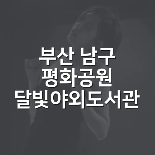 부산 남구 평화공원 달빛야외도서관 성황