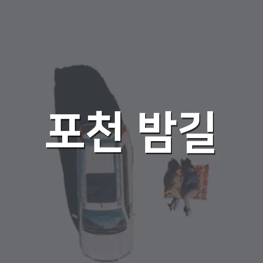 포천 밤길, 테라판타지아 무료 버스 투어