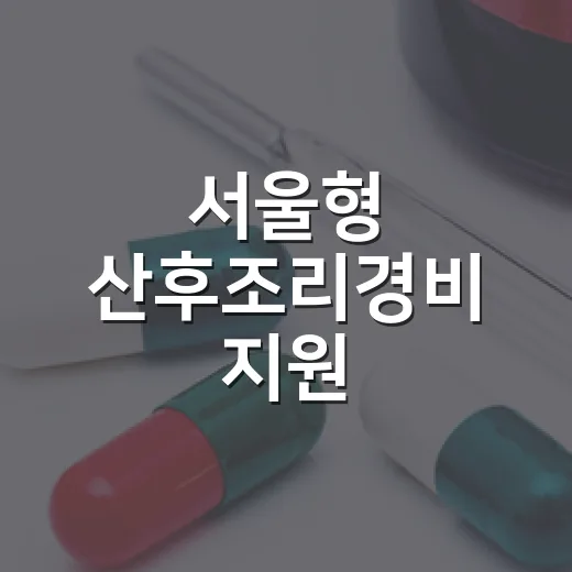 서울형 산후조리경비 지원, 출산가정 든든한 힘