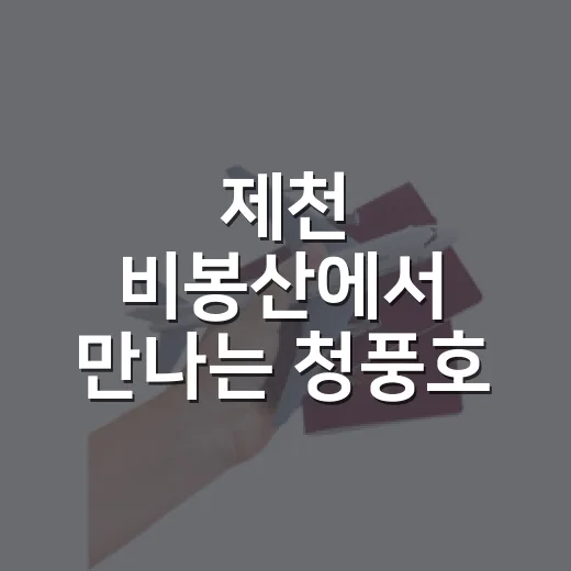제천 비봉산에서 만나는 청풍호 가을 풍경