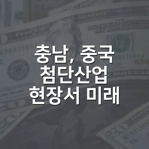 충남, 중국 첨단산업 현장서 미래 협력 강화