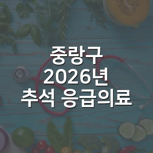 중랑구 2026년 추석 응급의료 완벽 안내