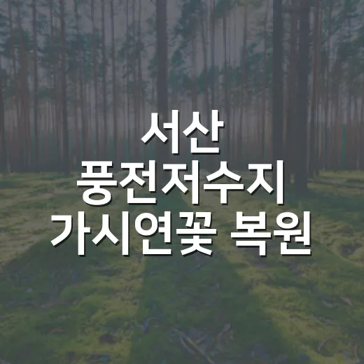 서산 풍전저수지 가시연꽃 복원 프로젝트