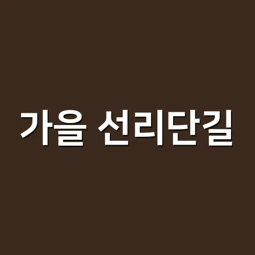 가을 선리단길, 대전중구 북페스티벌 첫날 풍경
