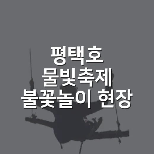 평택호 물빛축제 불꽃놀이 현장