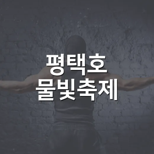 평택호 물빛축제, 가을밤 빛으로 물들다