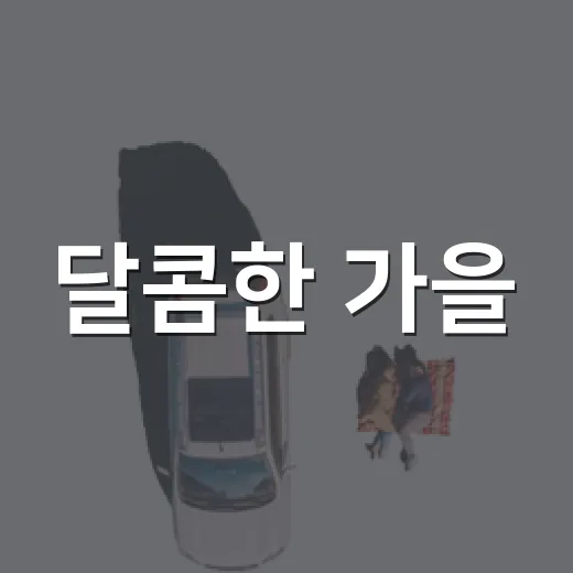 달콤한 가을, 2026 보은 대추축제 개막