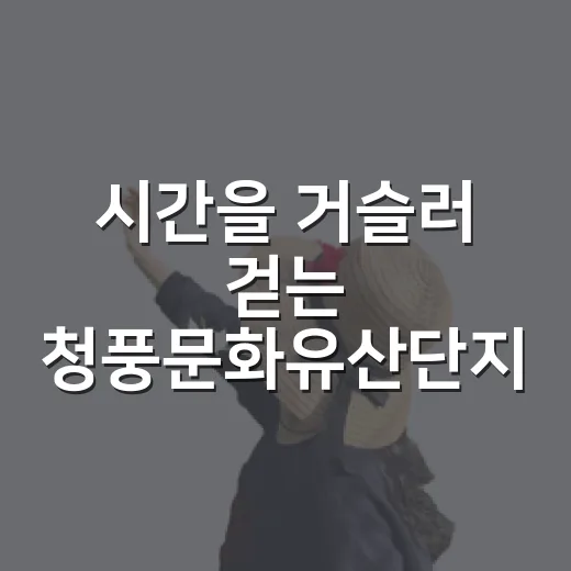 시간을 거슬러 걷는 청풍문화유산단지