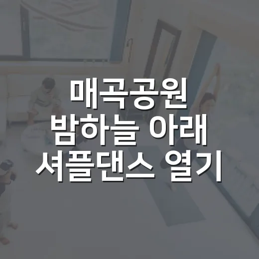 매곡공원 밤하늘 아래 셔플댄스 열기