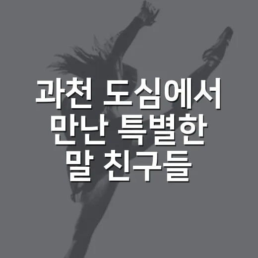 과천 도심에서 만난 특별한 말 친구들