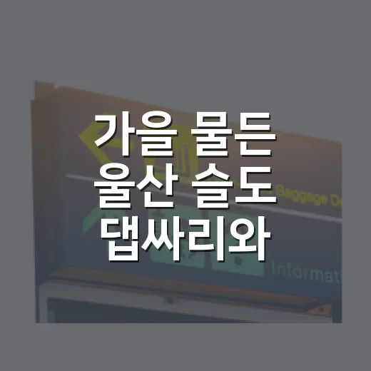 가을 물든 울산 슬도 댑싸리와 팜파스