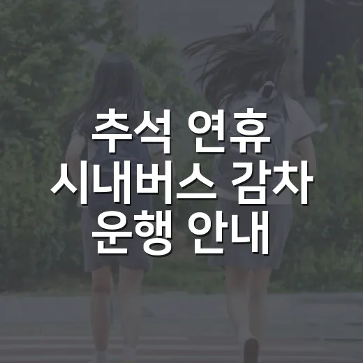 추석 연휴 시내버스 감차 운행 안내