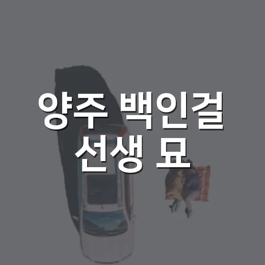 양주 백인걸 선생 묘, 조용한 역사 속으로