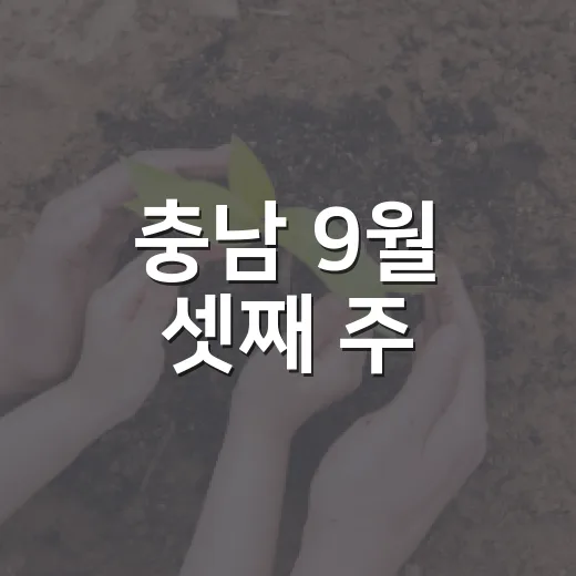 충남 9월 셋째 주, 초광역 협력과 관광 활성화