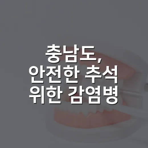 충남도, 안전한 추석 위한 감염병 예방 총력