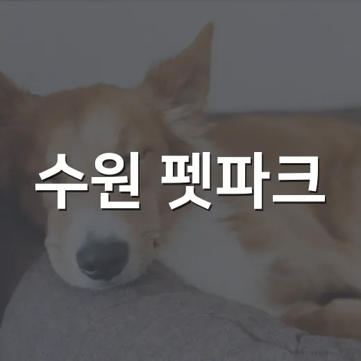 수원 펫파크, 반려견과 가을 산책 명소