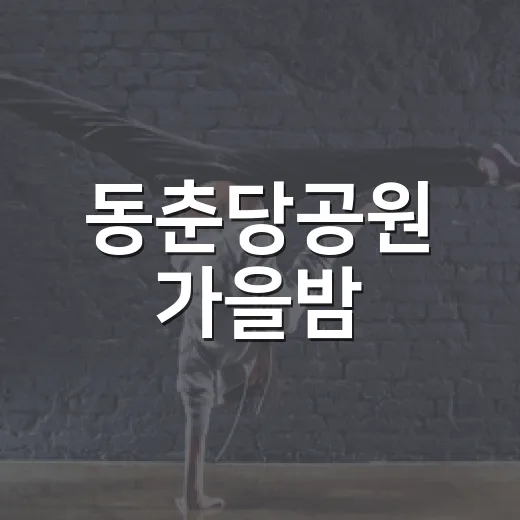 동춘당공원 가을밤, 무료 거리공연의 매력