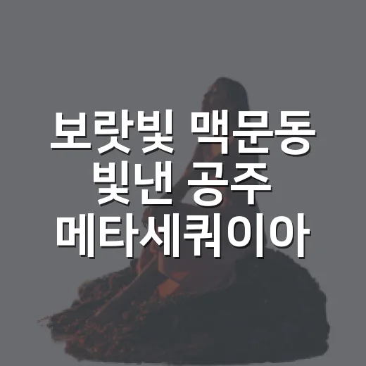 보랏빛 맥문동 빛낸 공주 메타세쿼이아길
