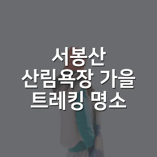 서봉산 산림욕장 가을 트레킹 명소