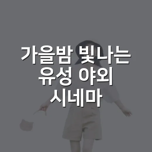 가을밤 빛나는 유성 야외 시네마