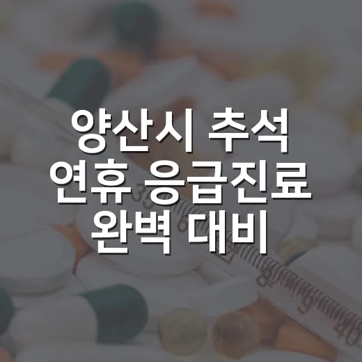 양산시 추석 연휴 응급진료 완벽 대비