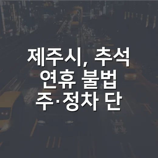 제주시, 추석 연휴 불법 주·정차 단속 탄력 운영