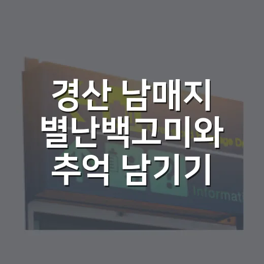 경산 남매지 별난백고미와 추억 남기기