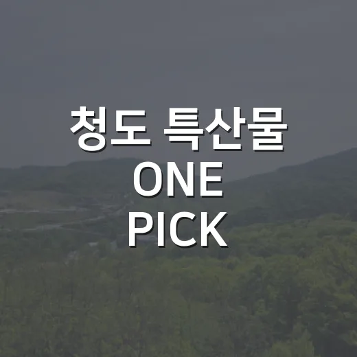 청도 특산물 ONE PICK 이벤트 개최