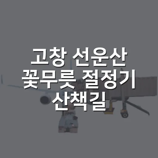 고창 선운산 꽃무릇 절정기 산책길