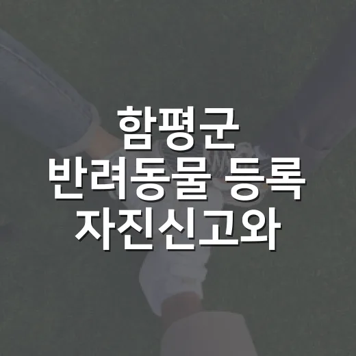 함평군 반려동물 등록 자진신고와 단속 안내
