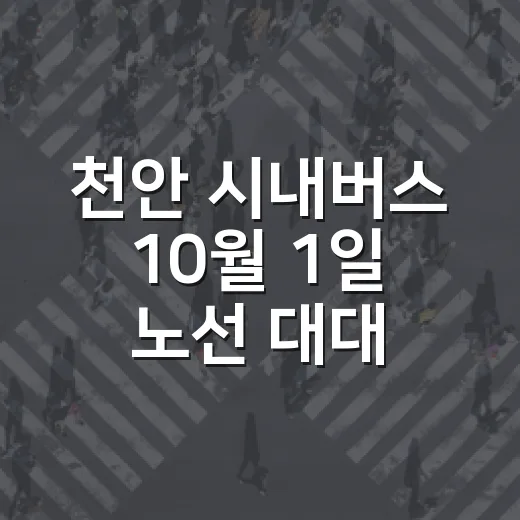 천안 시내버스 10월 1일 노선 대대적 개편