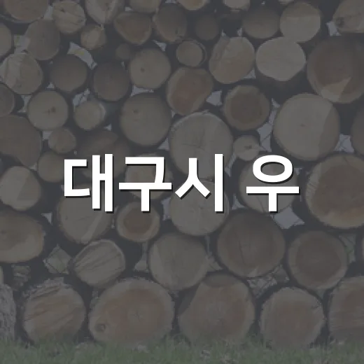 대구시 우·오수 분류화로 도시침수 막는다