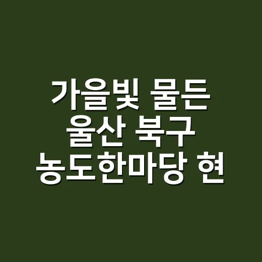 가을빛 물든 울산 북구 농도한마당 현장