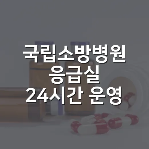 국립소방병원 응급실 24시간 운영 개시