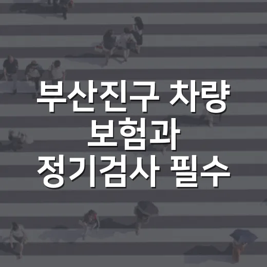 부산진구 차량 보험과 정기검사 필수 안내