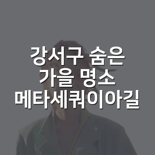 강서구 숨은 가을 명소 메타세쿼이아길
