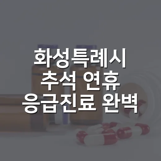 화성특례시 추석 연휴 응급진료 완벽 안내