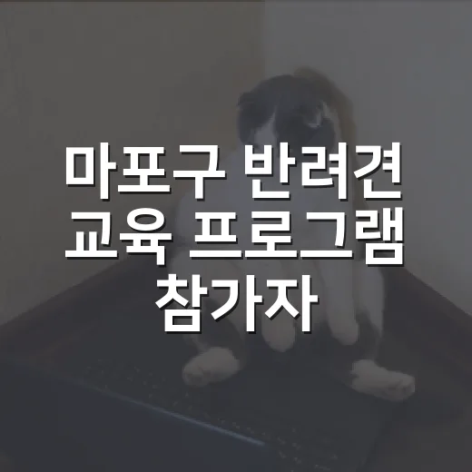마포구 반려견 교육 프로그램 참가자 모집