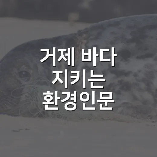거제 바다 지키는 환경인문 실천단 모집